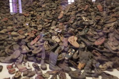 RS_Krakau_Auschwitz_-27