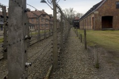 RS_Krakau_Auschwitz_-32