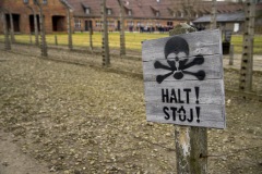RS_Krakau_Auschwitz_-34