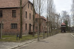 RS_Krakau_Auschwitz_-37