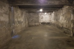 RS_Krakau_Auschwitz_-40
