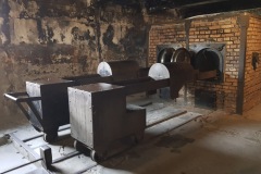 RS_Krakau_Auschwitz_-41