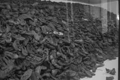 RS_Krakau_Auschwitz_-46