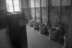 RS_Krakau_Auschwitz_-48