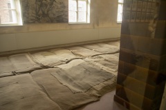 RS_Krakau_Auschwitz_-49