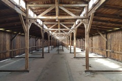 RS_Krakau_Auschwitz_-52