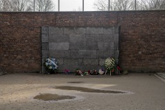 RS_Krakau_Auschwitz_-53
