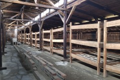 RS_Krakau_Auschwitz_-56
