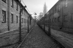 RS_Krakau_Auschwitz_-61