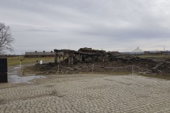 RS_Krakau_Auschwitz_-67