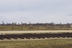 RS_Krakau_Auschwitz_-69