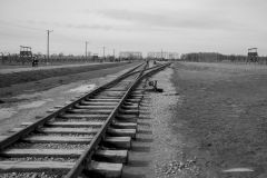 RS_Krakau_Auschwitz_-71