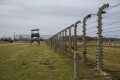 RS_Krakau_Auschwitz_-73
