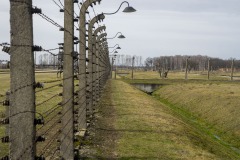 RS_Krakau_Auschwitz_-74