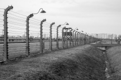 RS_Krakau_Auschwitz_-75