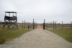 RS_Krakau_Auschwitz_-81