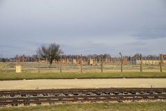 RS_Krakau_Auschwitz_-89